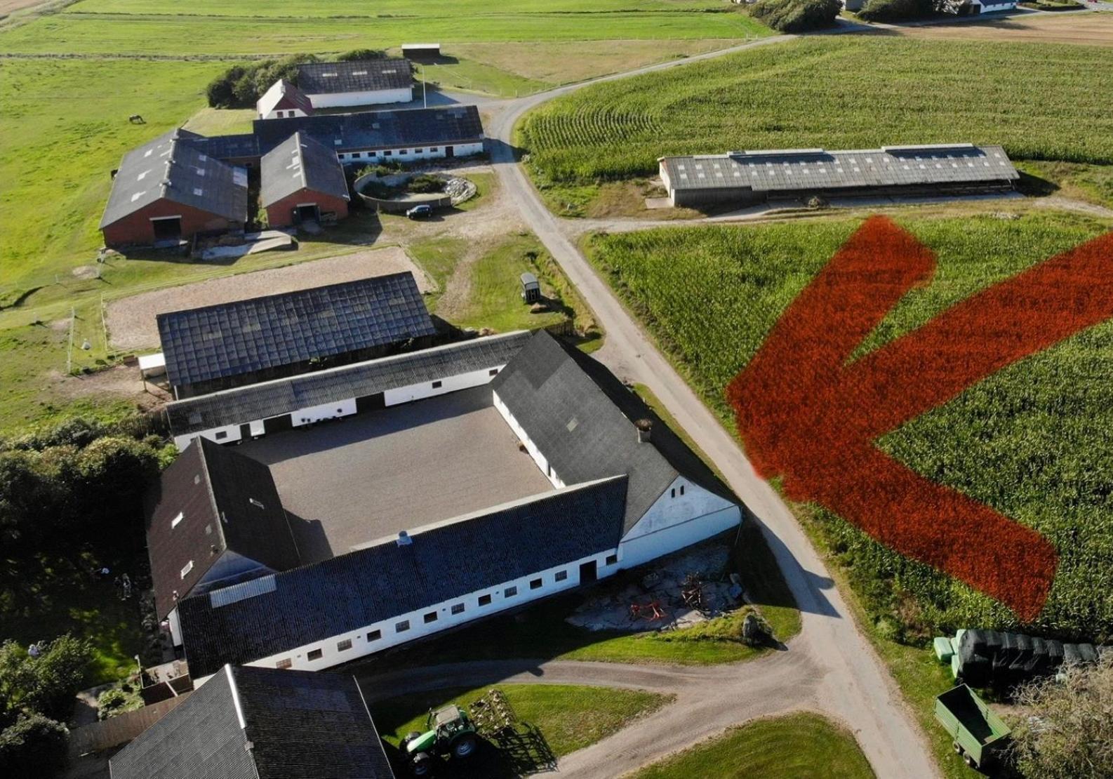 Løkken Farm Holiday Dış mekan fotoğraf
