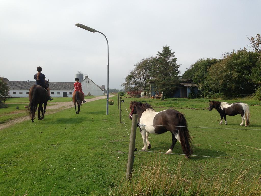 Løkken Farm Holiday Dış mekan fotoğraf