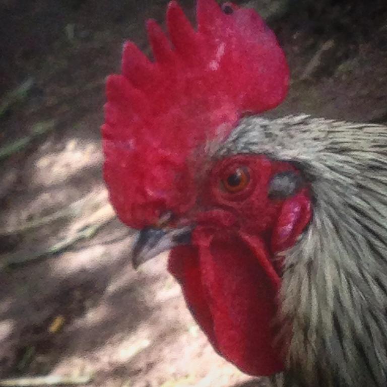 Løkken Farm Holiday Dış mekan fotoğraf